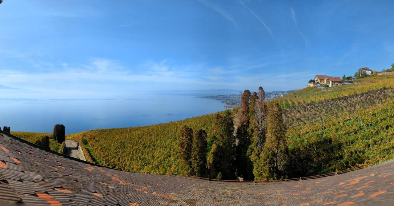 Domaine De La Crausaz Grandvaux Luaran gambar